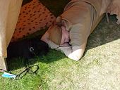 P1060732 Gimli und Didi