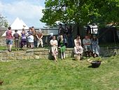 P1060733 Wie die Hühner auf der Stange