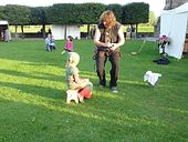 P1090105 Shajan der Dunkle