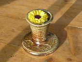 Das Bl�mchen zum obligatorischen Geburtstag von Odo