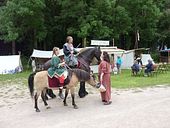 Auch Pferde waren da